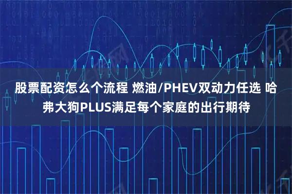 股票配资怎么个流程 燃油/PHEV双动力任选 哈弗大狗PLUS满足每个家庭的出行期待